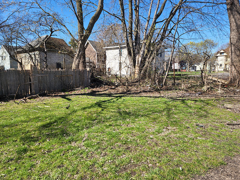 yard and houses